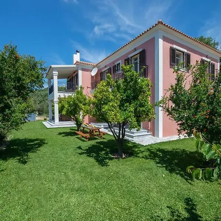 Amaryllis 1-svoronata Village Daire